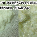 DSCN2134.jpg