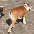 DSCN2454.jpg