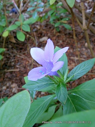 DSC_0176 DSC_0176