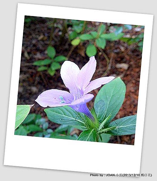DSC_0179 DSC_0179