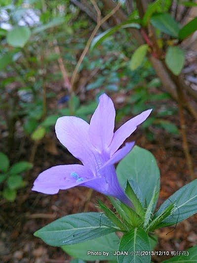 DSC_0178 DSC_0178