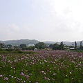 P1000289.JPG