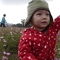 P1000291.JPG