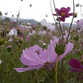 P1000293.JPG