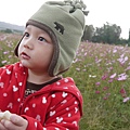 P1000295.JPG