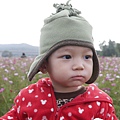 P1000300.JPG