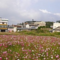 P1000303.JPG