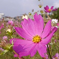 P1000307.JPG