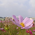 P1000308.JPG