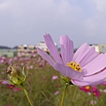P1000309.JPG