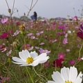 P1000311.JPG