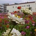 P1000316.JPG