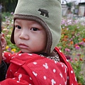 P1000323.JPG