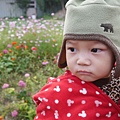 P1000324.JPG