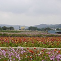 P1000325.JPG