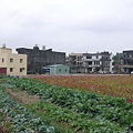 P1000329.JPG