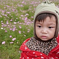 P1000340.JPG