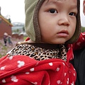 P1000342.JPG