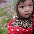 P1000345.JPG