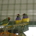 P1020496.JPG
