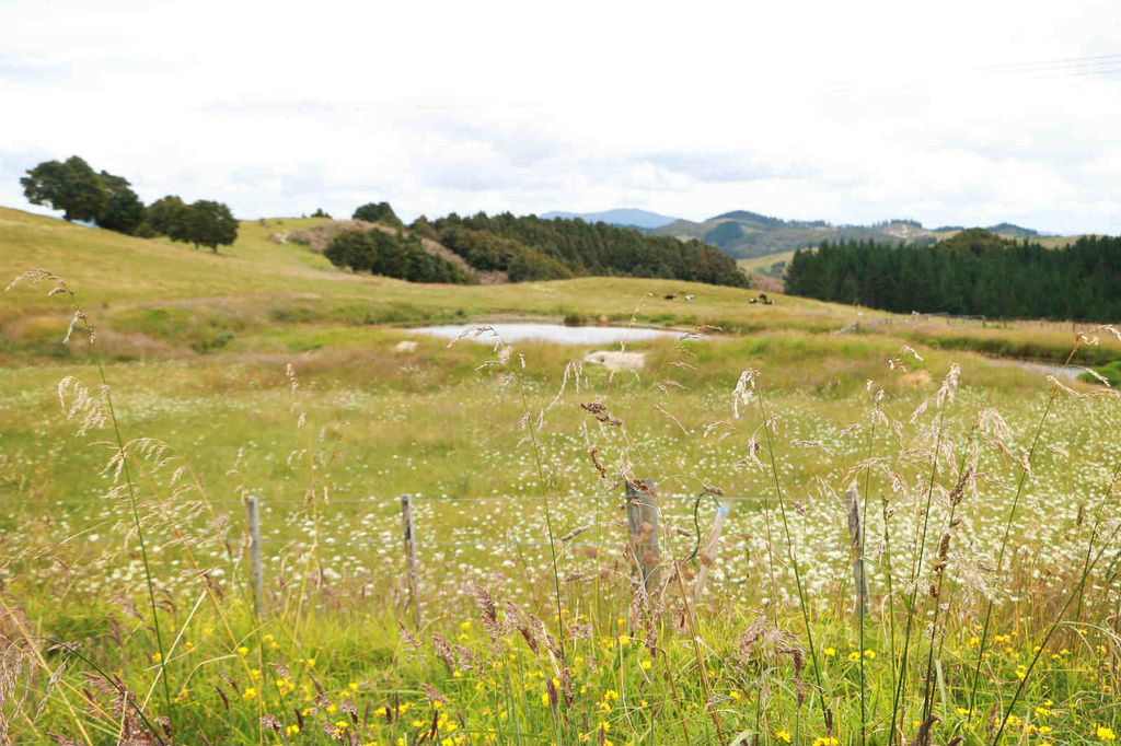 DPP_0030 DPP_0030