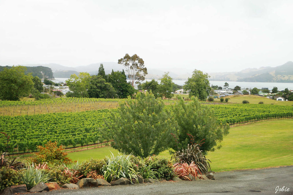 DPP_0164 DPP_0164