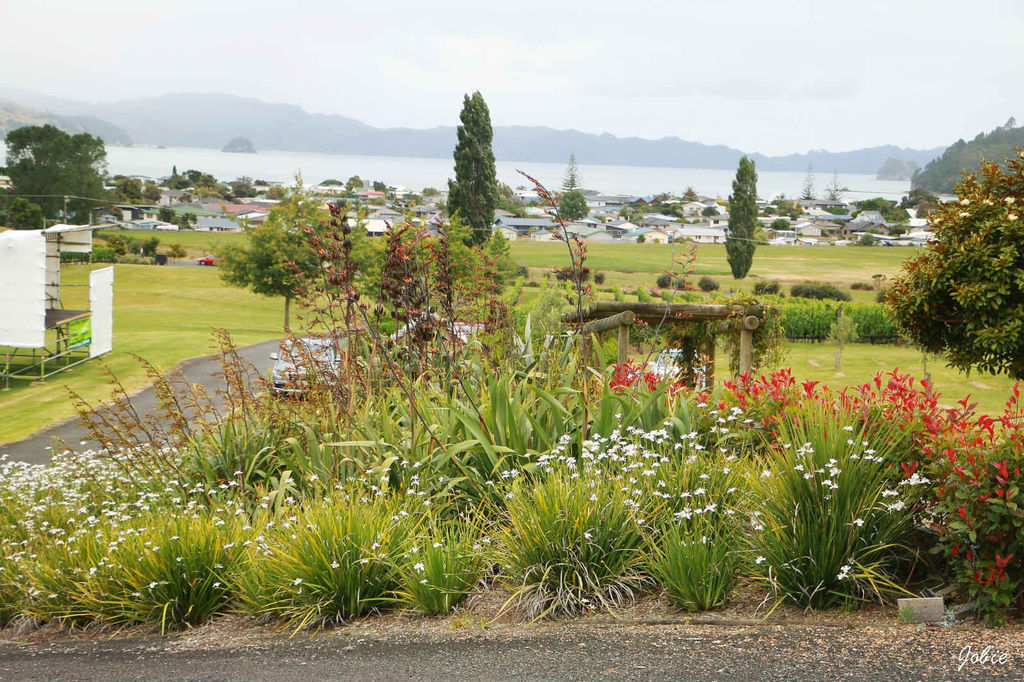 DPP_0165 DPP_0165
