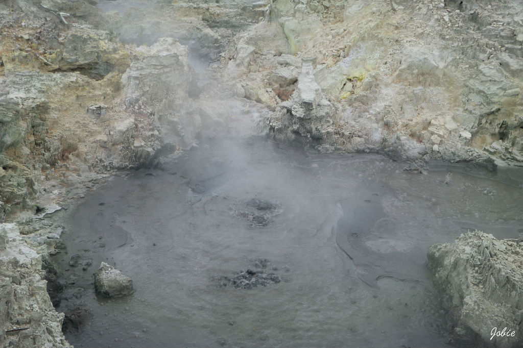 DPP_0260 DPP_0260