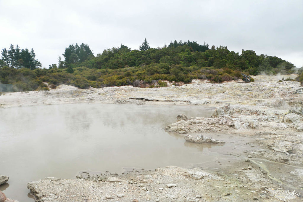 DPP_0252 DPP_0252