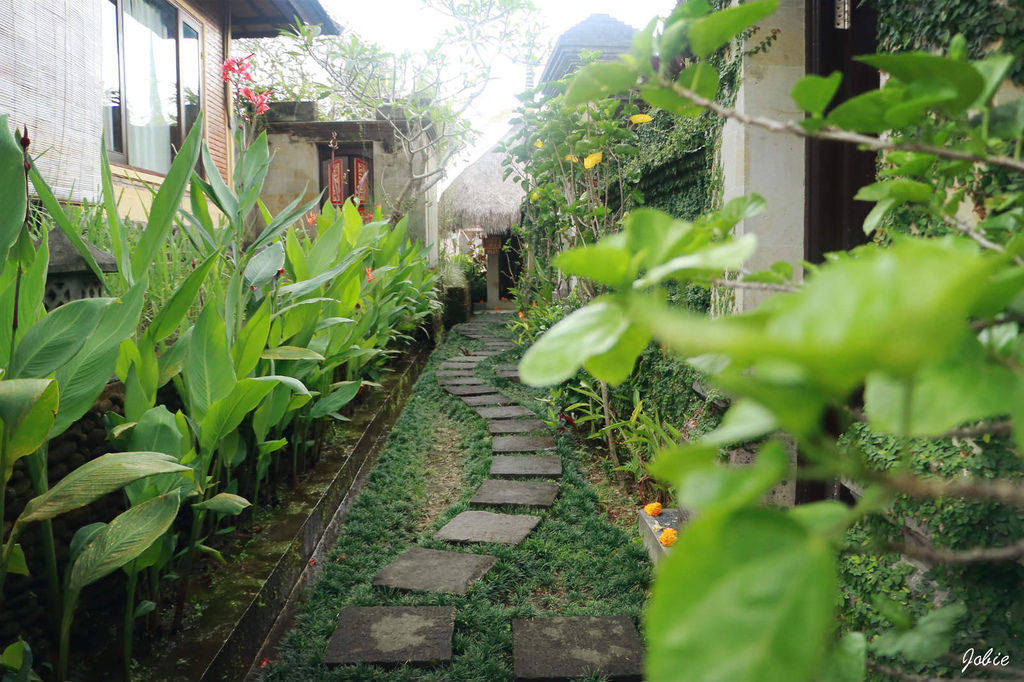 DPP_0260 DPP_0260