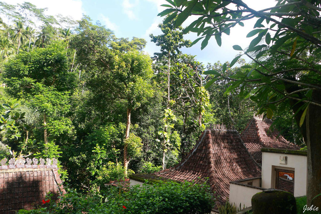 DPP_0316 DPP_0316