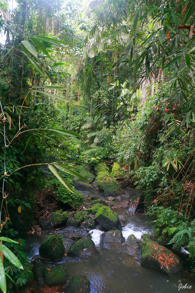 DPP_0333 DPP_0333