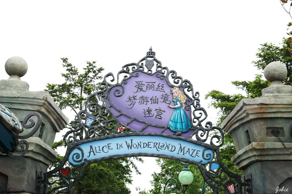 DPP_0504 DPP_0504