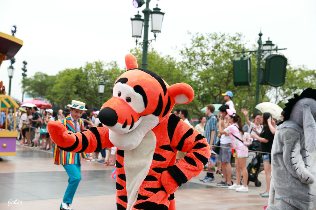 DPP_0475 DPP_0475