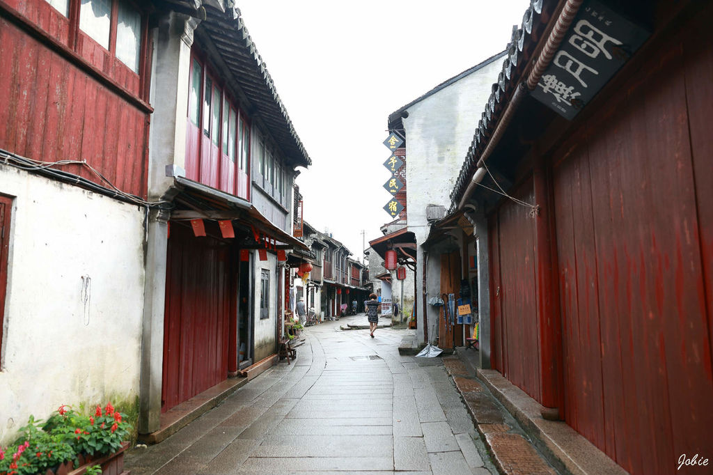 DPP_0774
