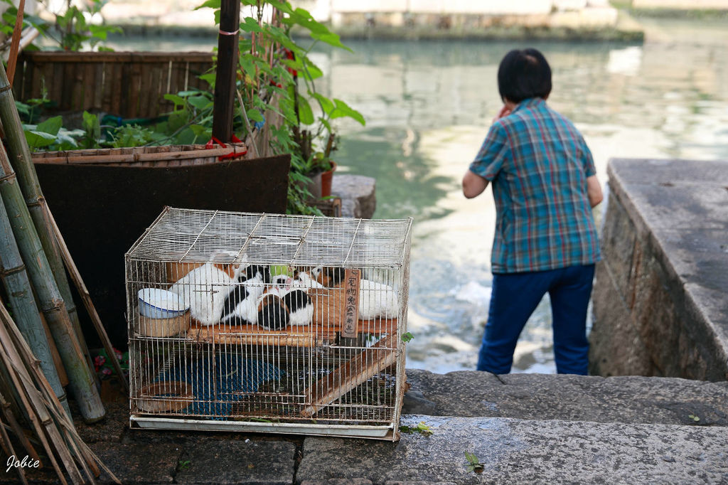 DPP_0825 DPP_0825