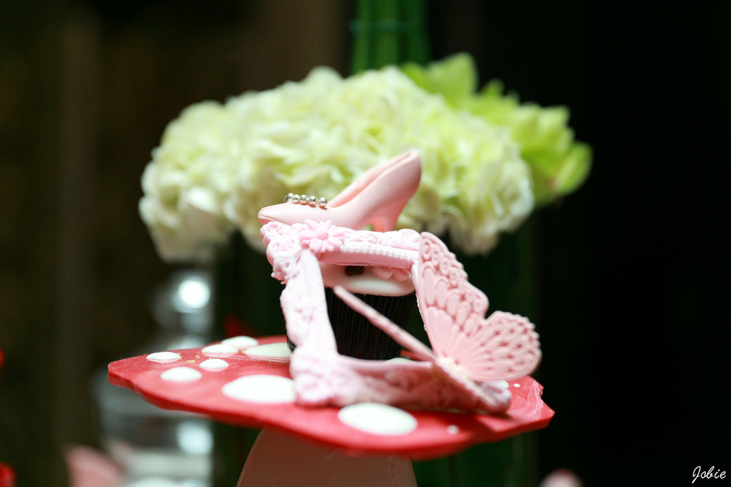 DPP_1027 DPP_1027