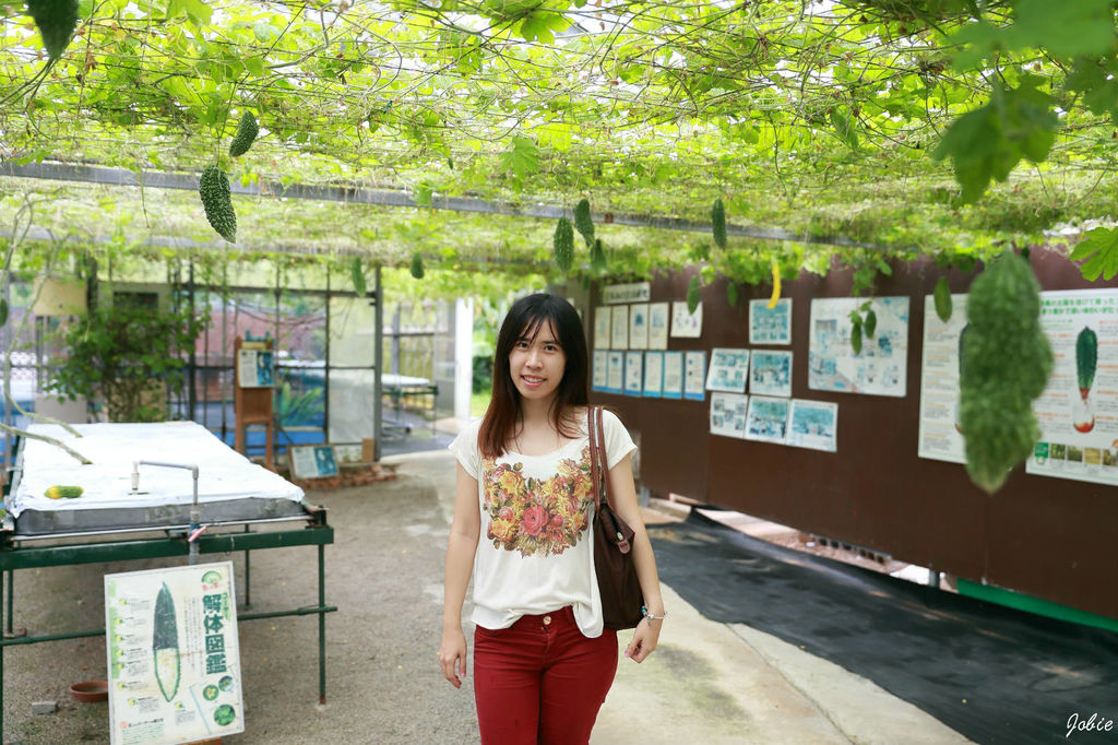 DPP_0439 DPP_0439