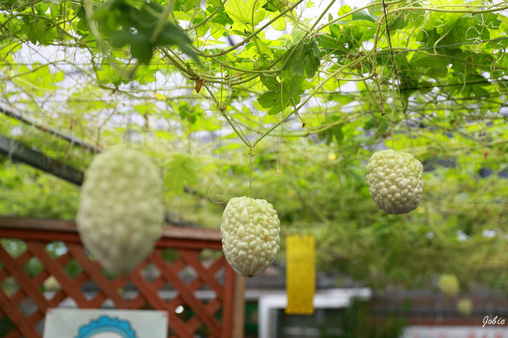 DPP_0443 DPP_0443