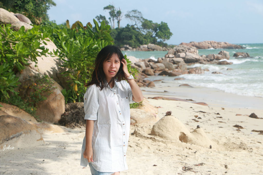 DPP_0197 DPP_0197