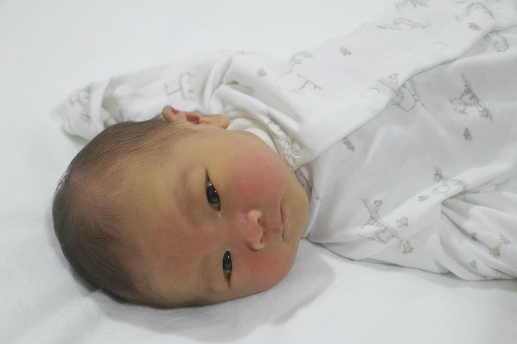 DPP_0010 DPP_0010