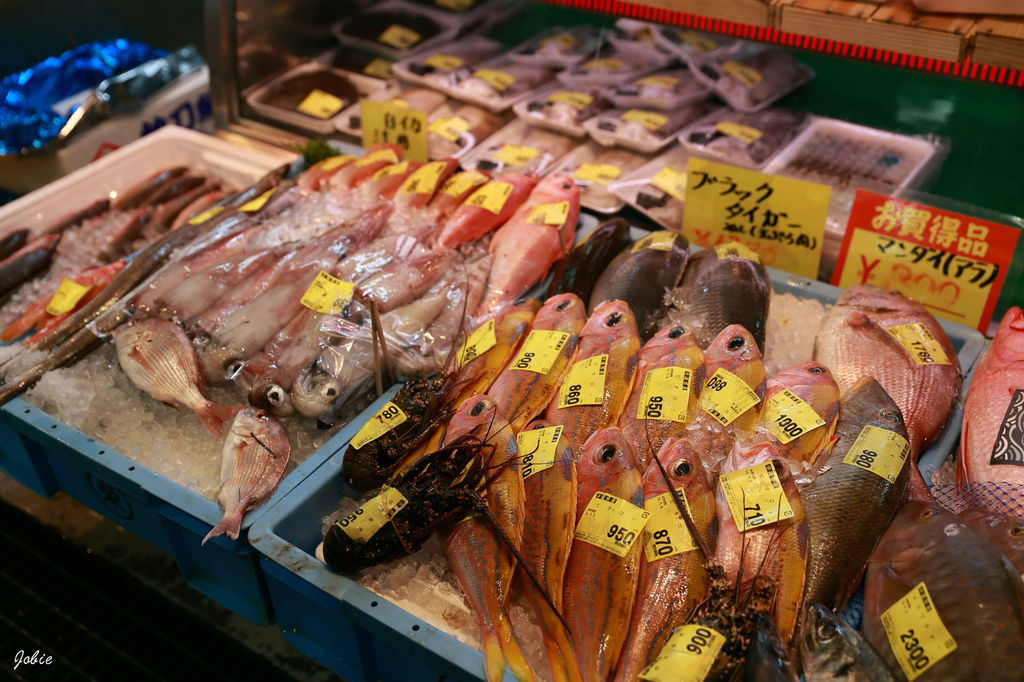 DPP_0067 DPP_0067