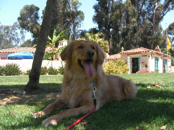 Jasmine at the international village in SD