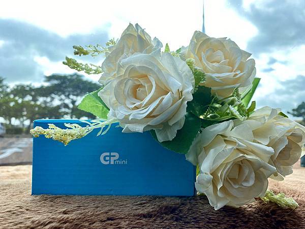 GP抑疾棒mini 13 GP抑疾棒mini 13