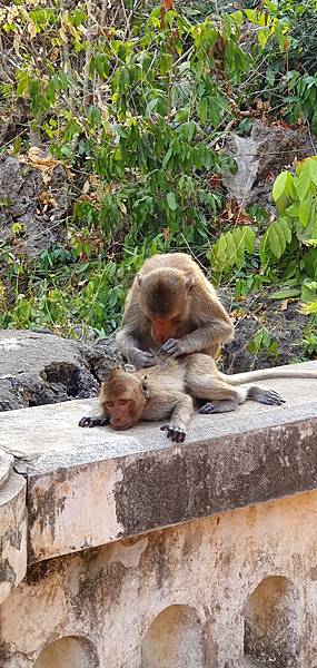 20200125_162054.jpg 20200125_162054.jpg