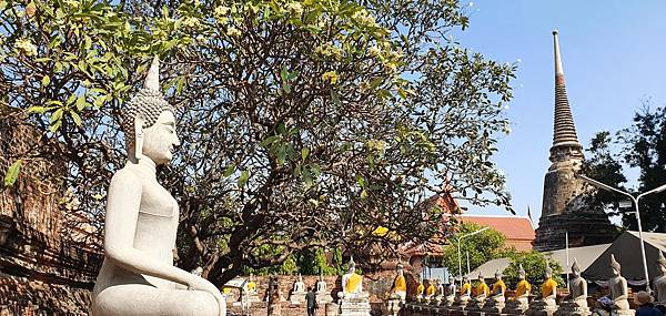 20200128_145832.jpg 20200128_145832.jpg