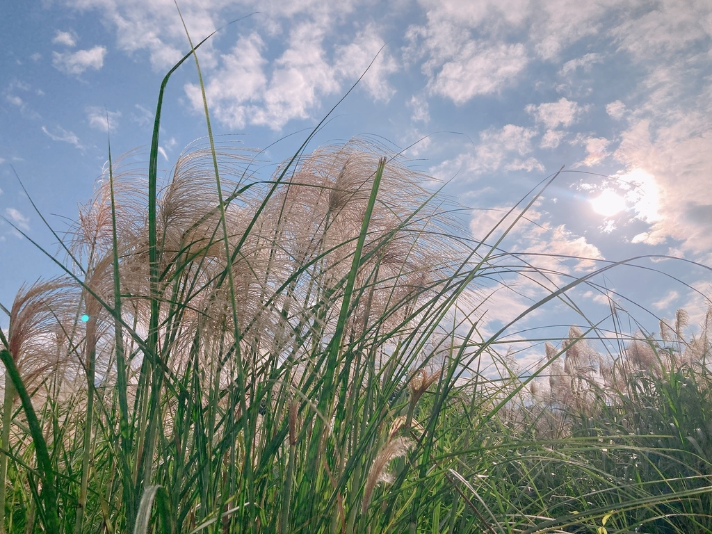 IMG_1434.JPG IMG_1434.JPG