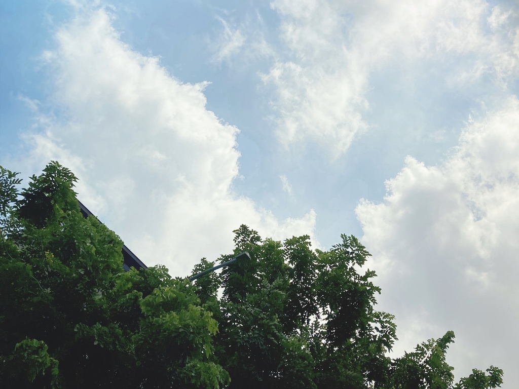 IMG_3502.jpg IMG_3502.jpg