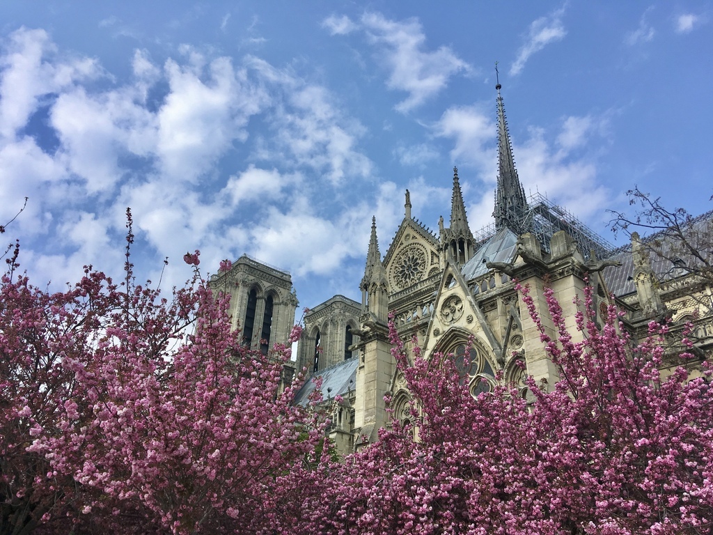 IMG_3029.jpg IMG_3029.jpg