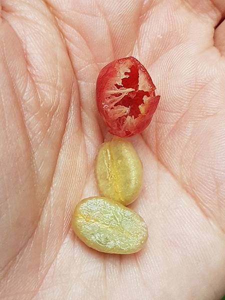 26230028_10213908257754085_6484123661185632322_n.jpg 26230028_10213908257754085_6484123661185632322_n.jpg